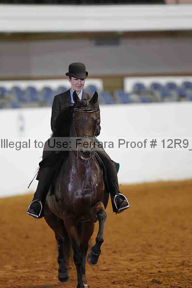 Proof Number 12r9_5023