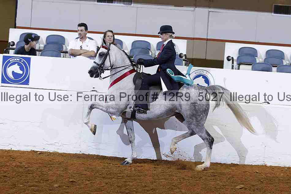 Proof Number 12r9_5027