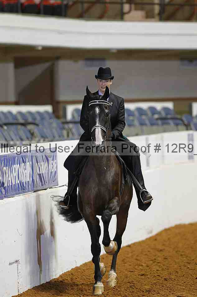 Proof Number 12r9_5028