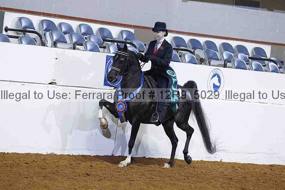 Proof Number 12r9_5029