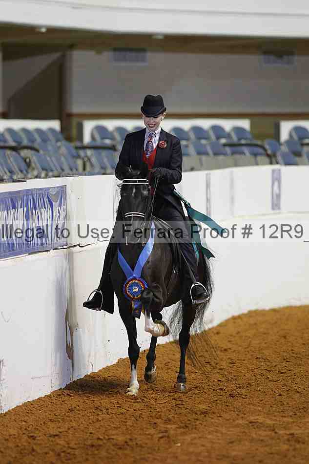 Proof Number 12r9_5035