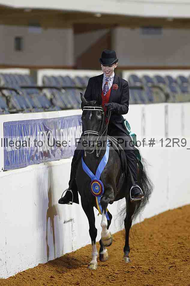 Proof Number 12r9_5036