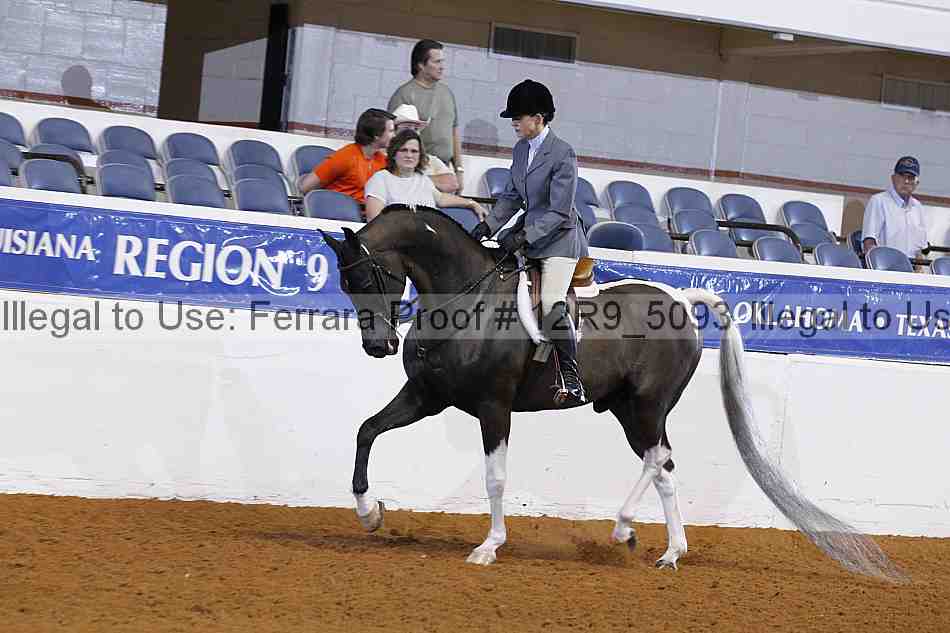 Proof Number 12r9_5093