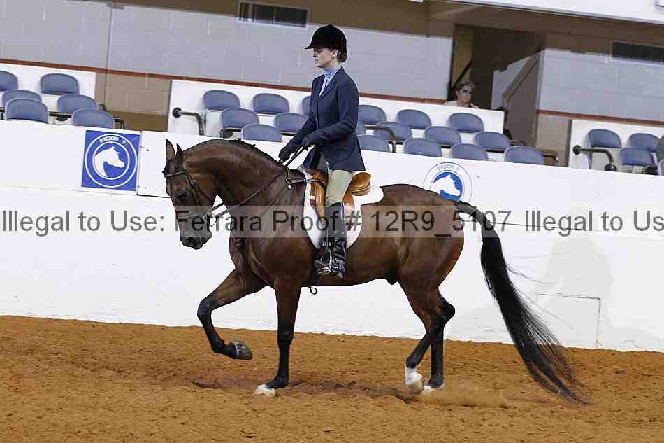 Proof Number 12r9_5107