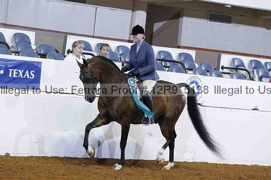 Proof Number 12r9_5138