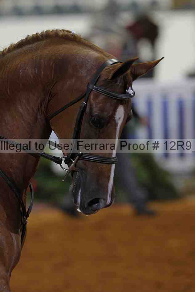 Proof Number 12r9_5143