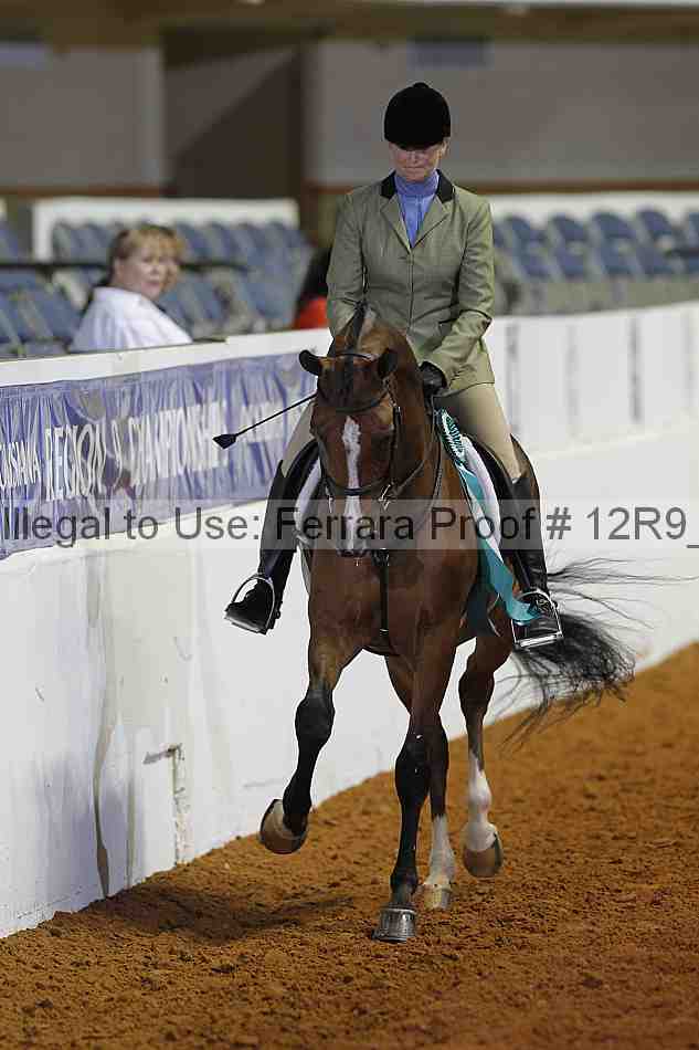 Proof Number 12r9_5145