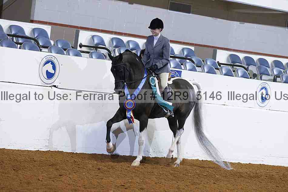 Proof Number 12r9_5146