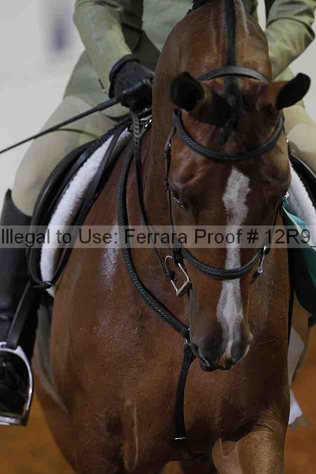 Proof Number 12r9_5149