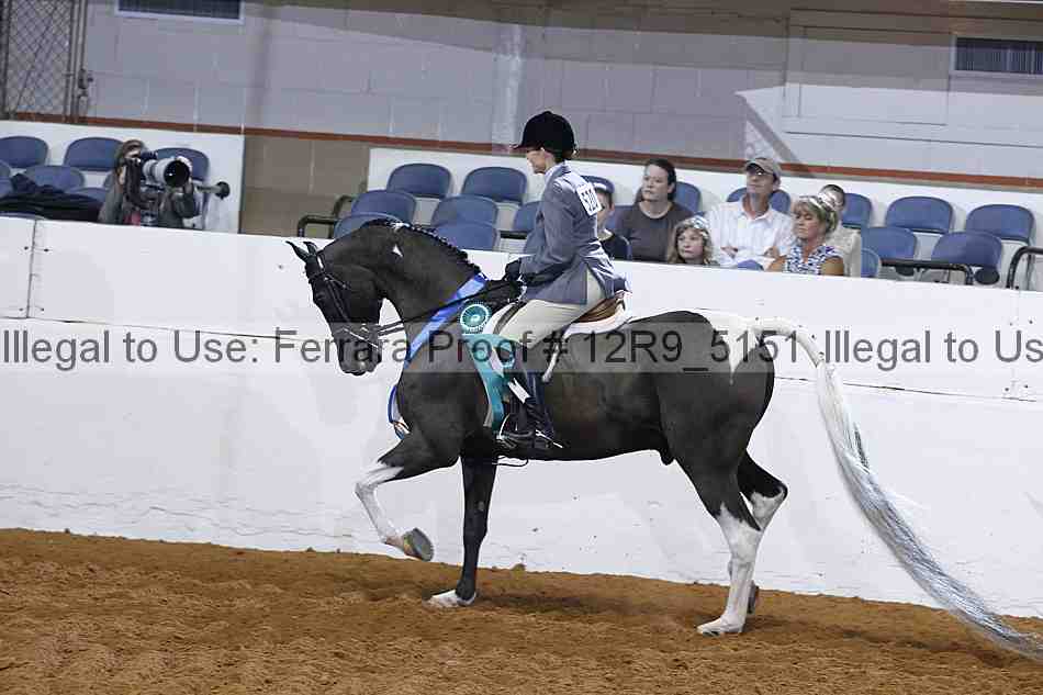 Proof Number 12r9_5151