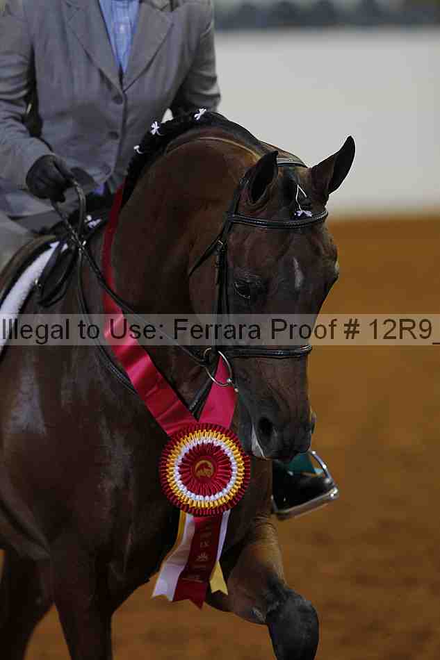 Proof Number 12r9_5156