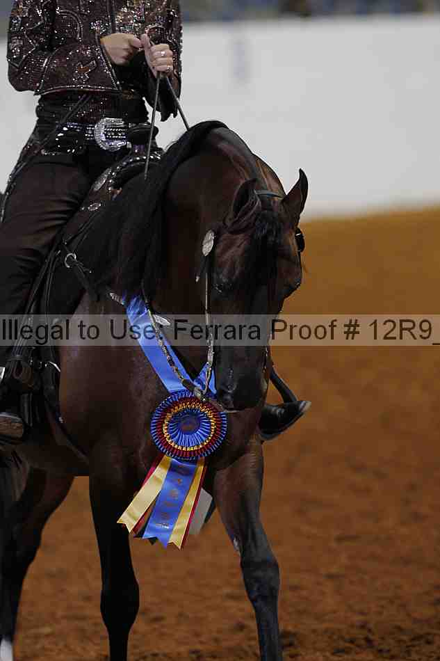 Proof Number 12r9_5201
