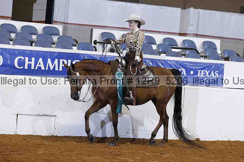 Proof Number 12r9_5206