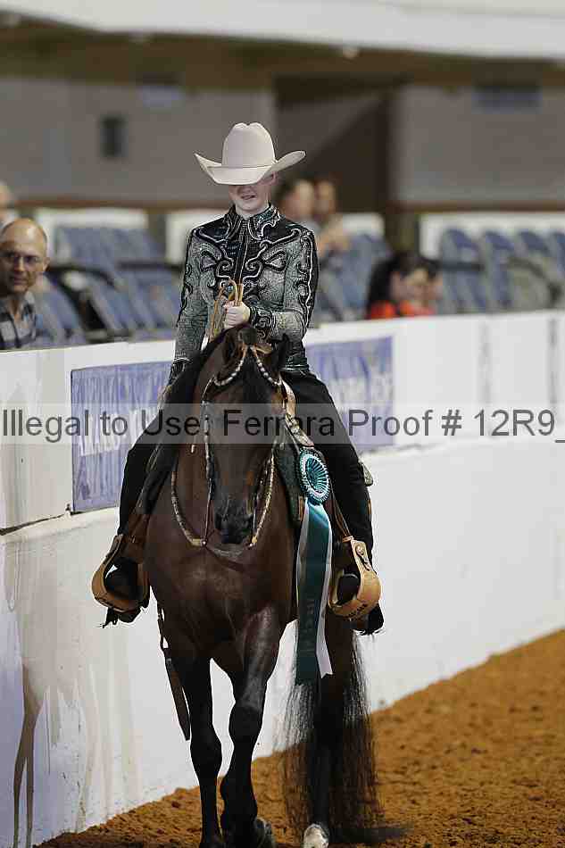 Proof Number 12r9_5218