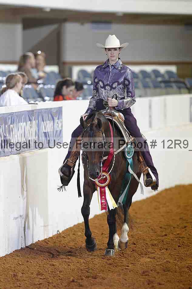 Proof Number 12r9_5224