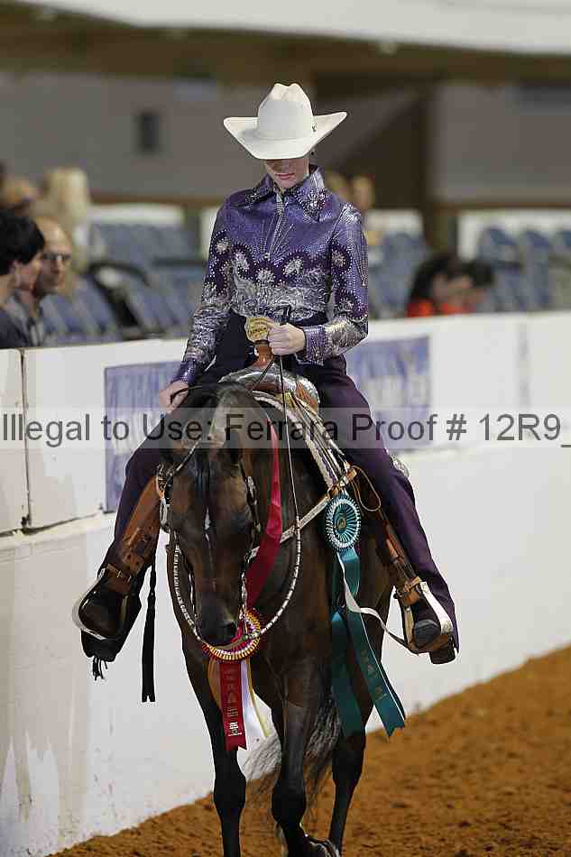 Proof Number 12r9_5225