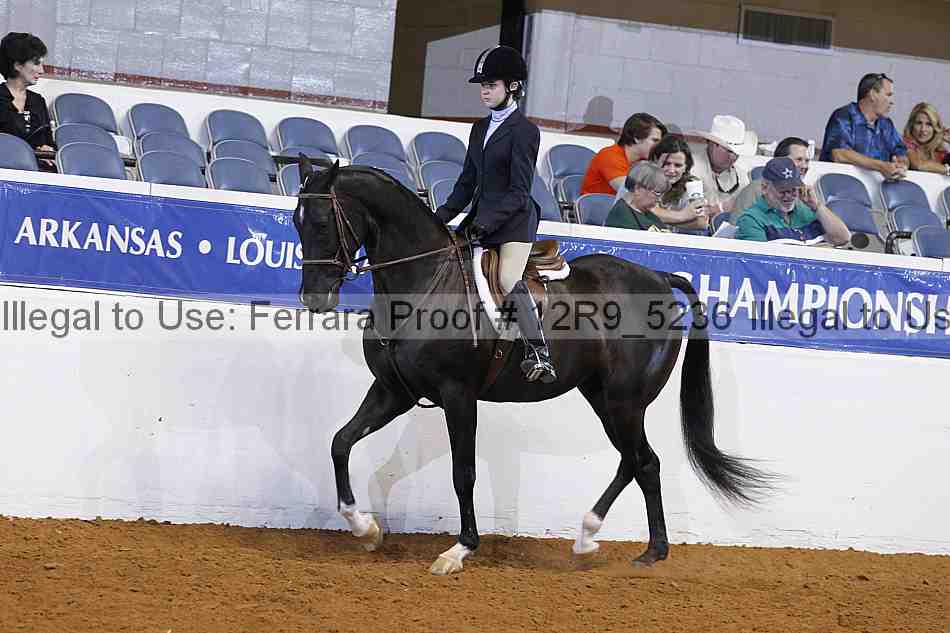 Proof Number 12r9_5236