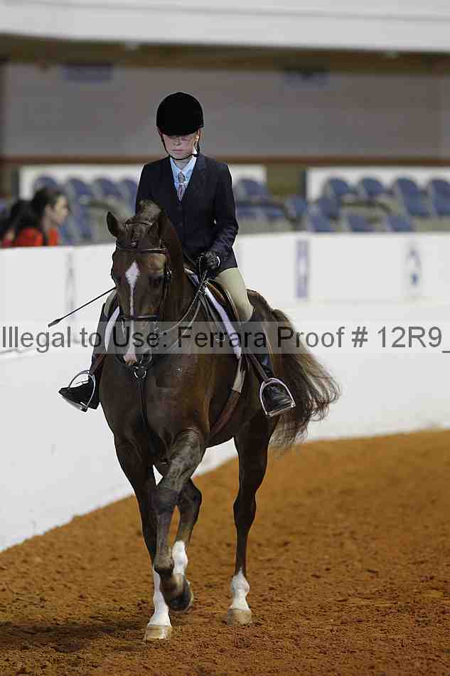 Proof Number 12r9_5261