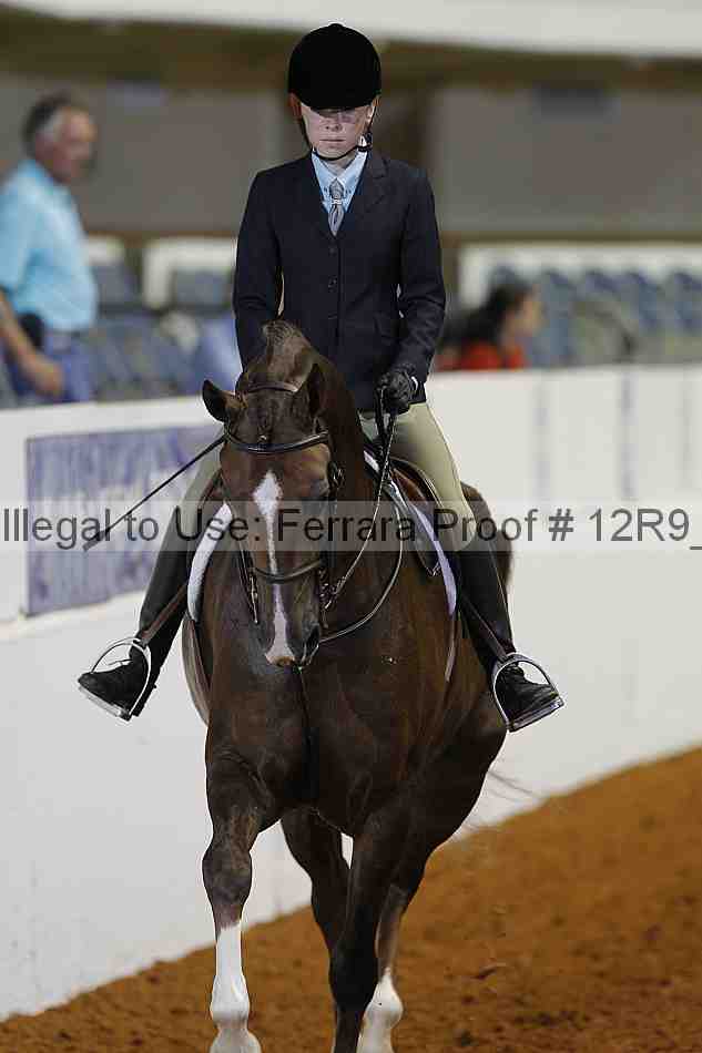 Proof Number 12r9_5262