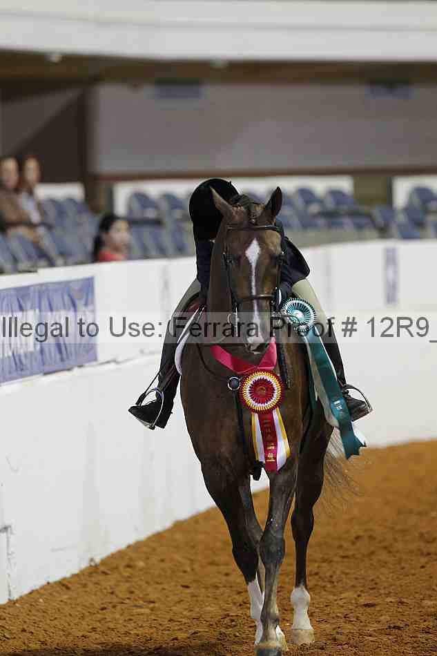 Proof Number 12r9_5275
