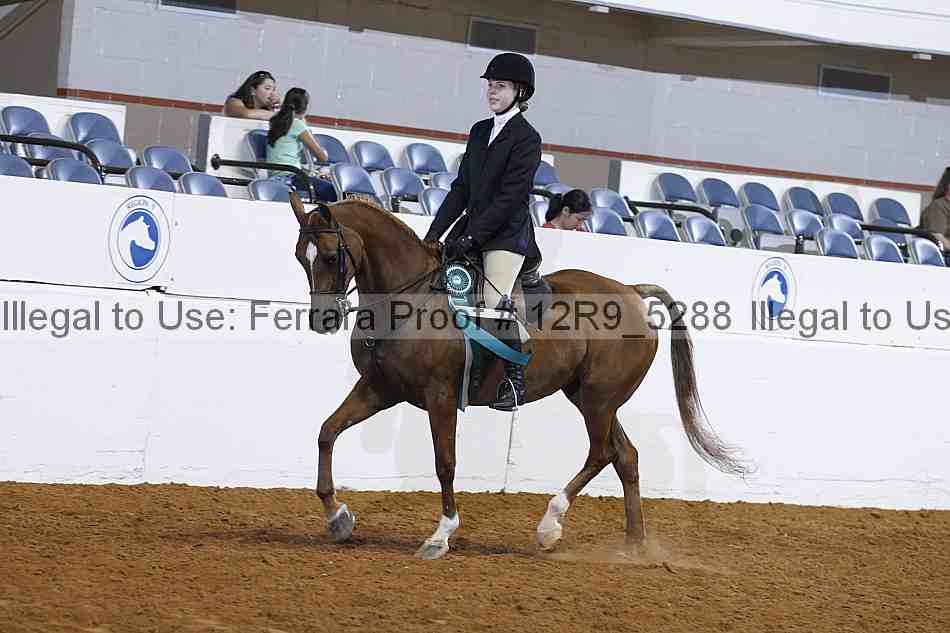 Proof Number 12r9_5288