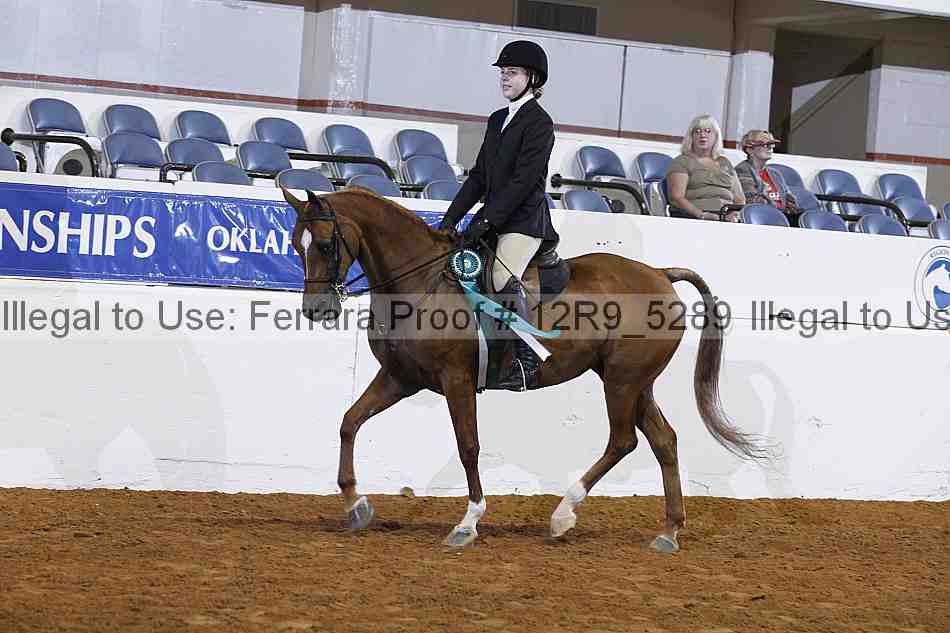 Proof Number 12r9_5289