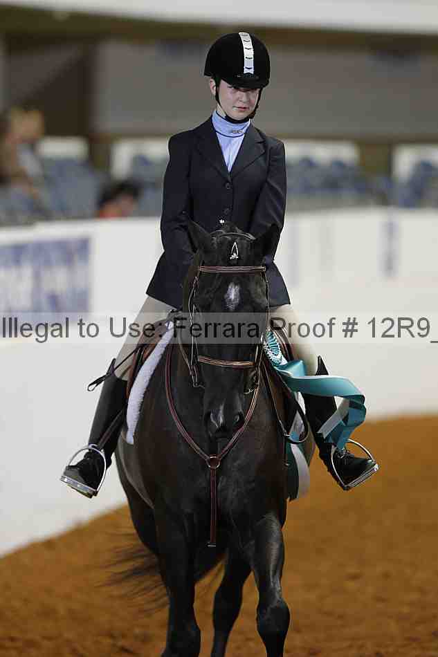 Proof Number 12r9_5292