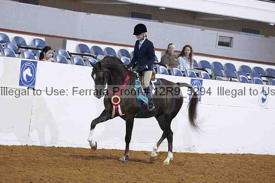 Proof Number 12r9_5294