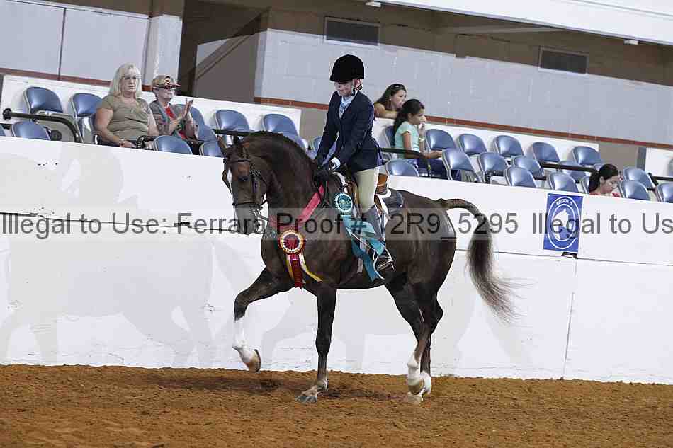 Proof Number 12r9_5295