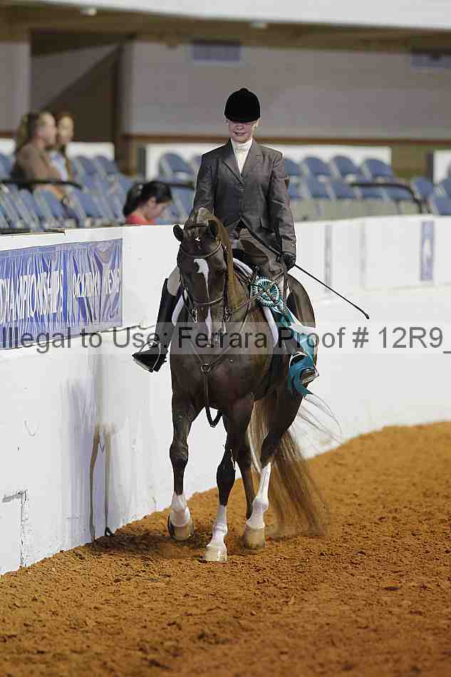 Proof Number 12r9_5298