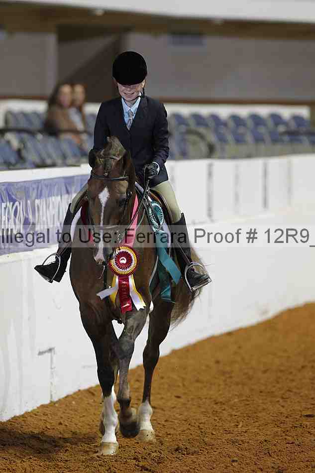Proof Number 12r9_5305