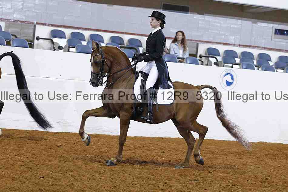 Proof Number 12r9_5320