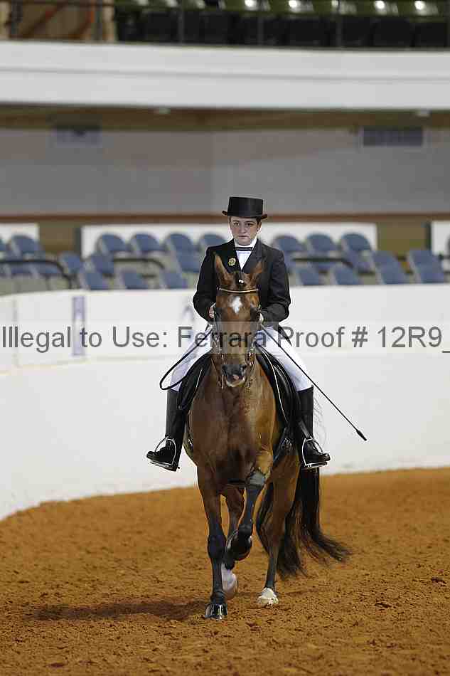 Proof Number 12r9_5328
