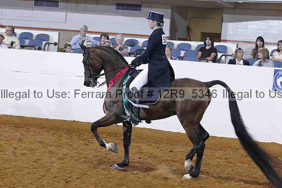 Proof Number 12r9_5346