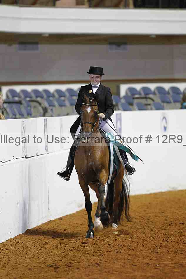 Proof Number 12r9_5349