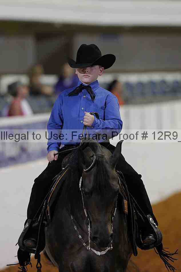 Proof Number 12r9_5395