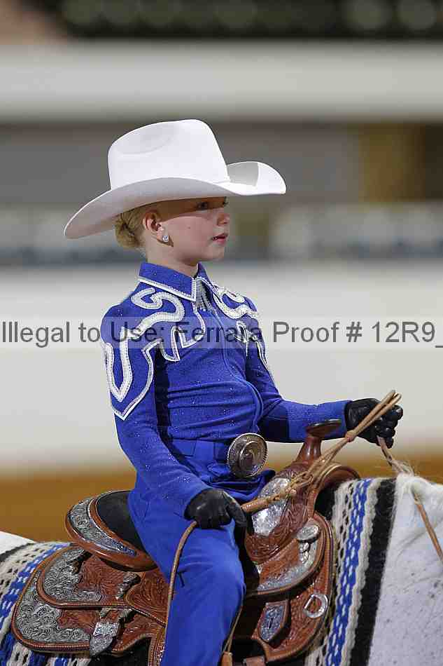 Proof Number 12r9_5419