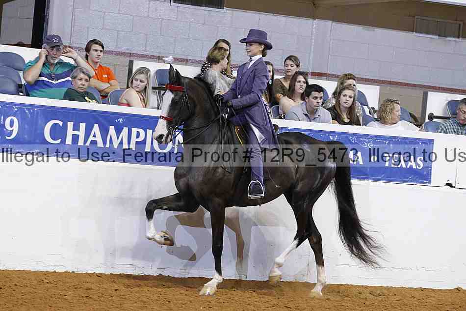 Proof Number 12r9_5473