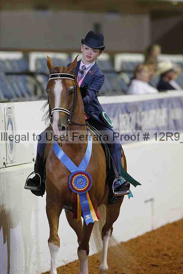 Proof Number 12r9_5491