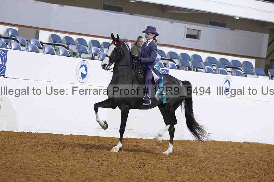 Proof Number 12r9_5494