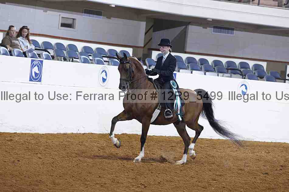 Proof Number 12r9_5499