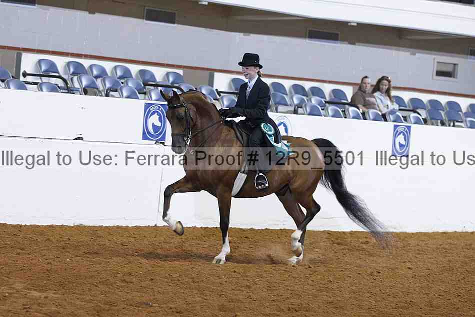 Proof Number 12r9_5501