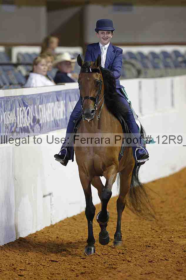 Proof Number 12r9_5502