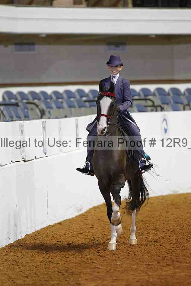 Proof Number 12r9_5506