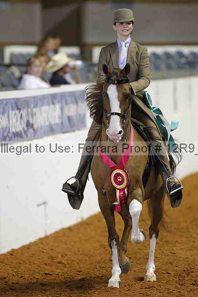 Proof Number 12r9_5517