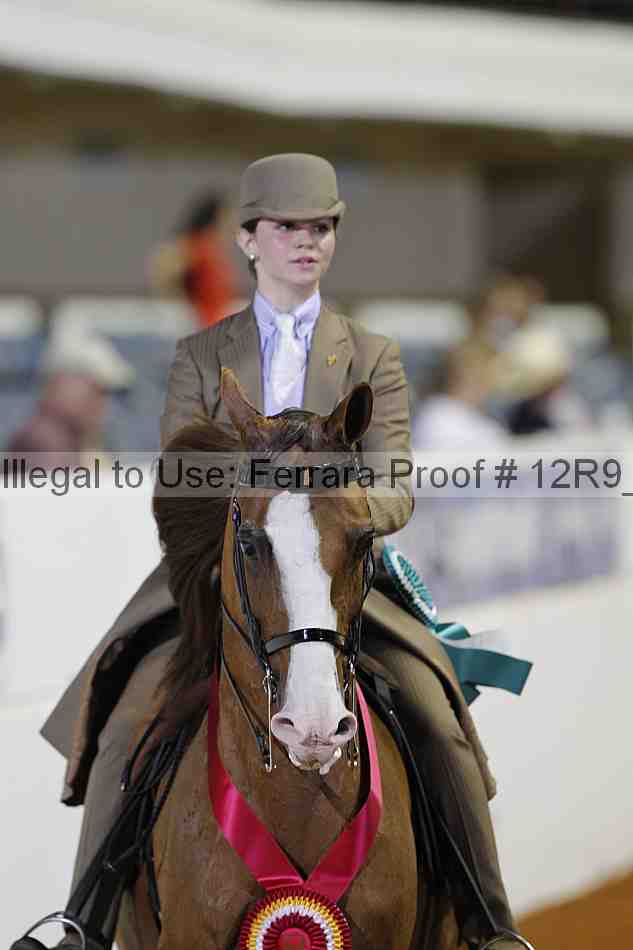 Proof Number 12r9_5518