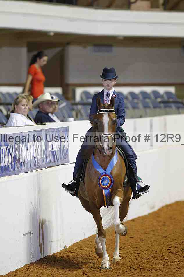 Proof Number 12r9_5519