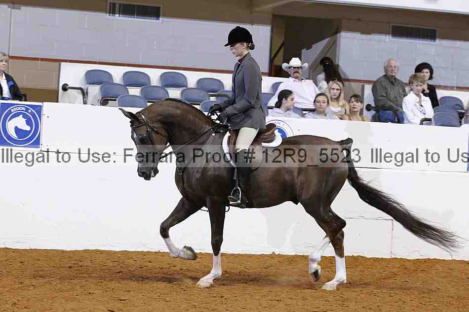 Proof Number 12r9_5523