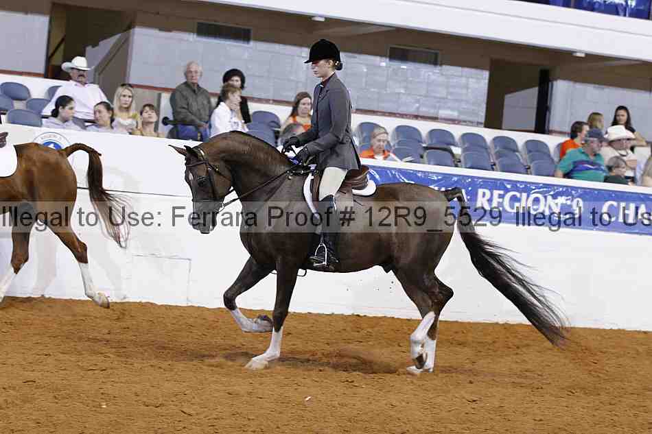 Proof Number 12r9_5529