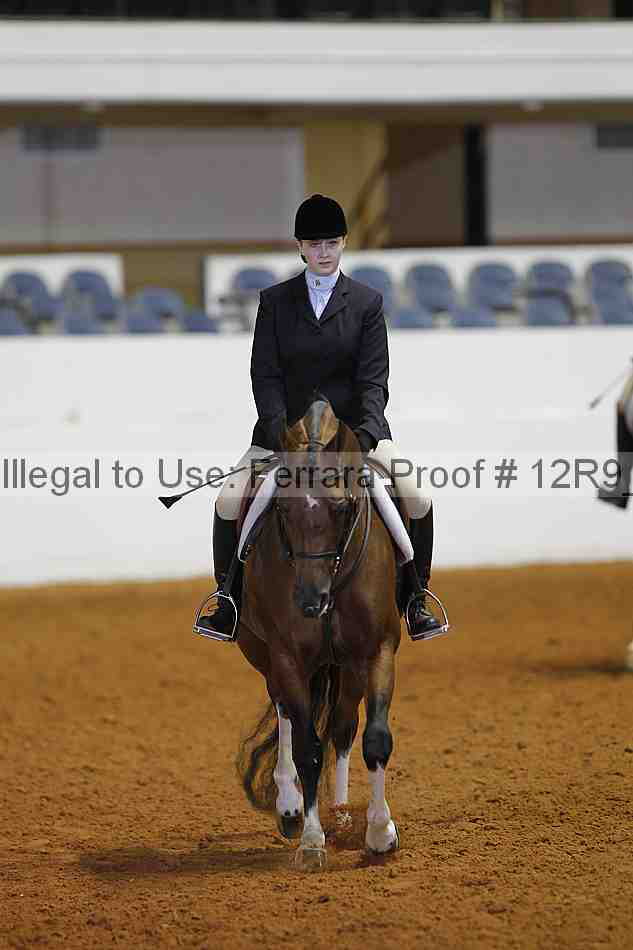 Proof Number 12r9_5568